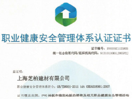 職業(yè)健康安全管理體系認(rèn)證證書(shū)